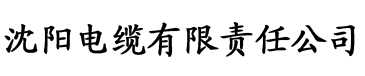 最美情侣中文版电缆厂logo